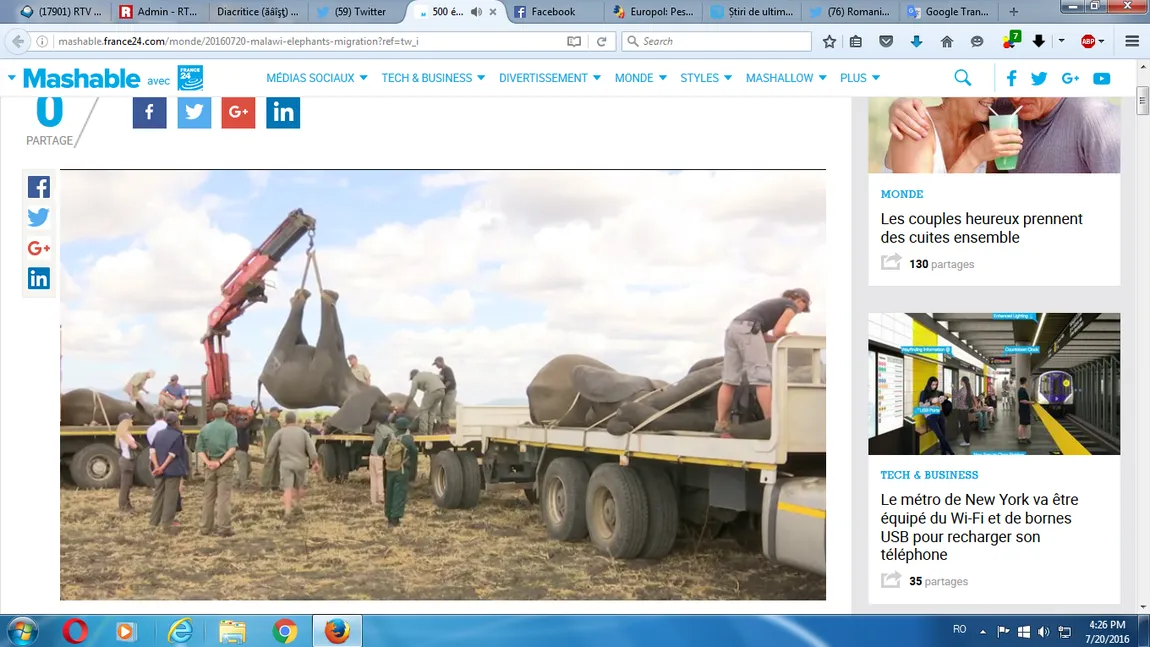500 de elefanţi africani au fost relocaţi în Malawi. Imagini extraordinare de la imensa operaţiune VIDEO