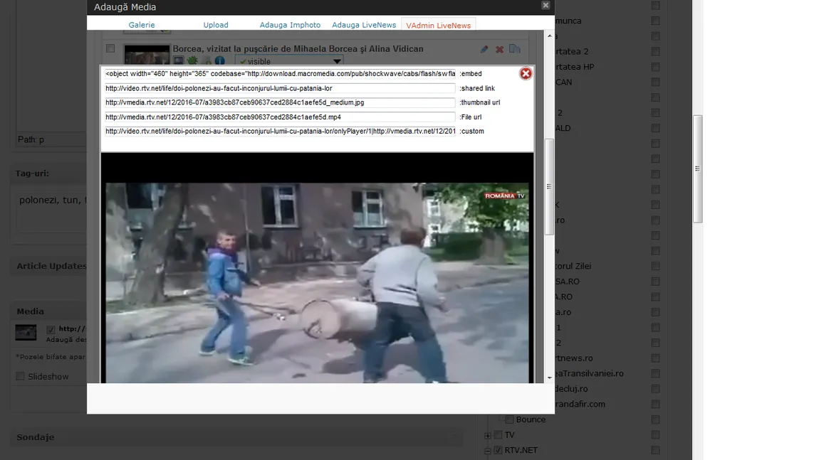 Idei periculose: Doi polonezi şi-au construit un tun şi l-au testat în stradă VIDEO