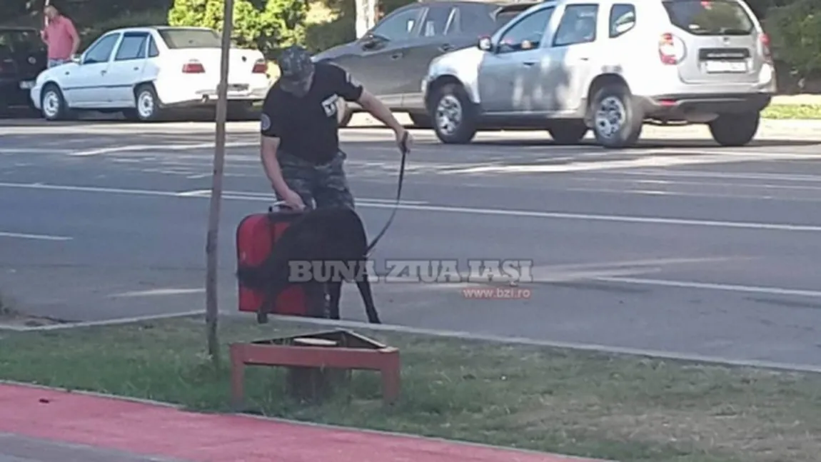 Alertă falsă cu bomba la Iaşi. Pirotehniştii au găsit în bagajul suspect mai multe haine