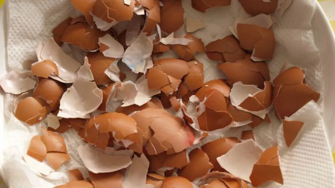 Cojile de ou fac minuni pentru organism. Motivul pentru care este indicat sa le consumi