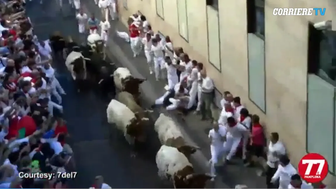 Patru oameni răniţi în cursa cu tauri de la Pamplona VIDEO
