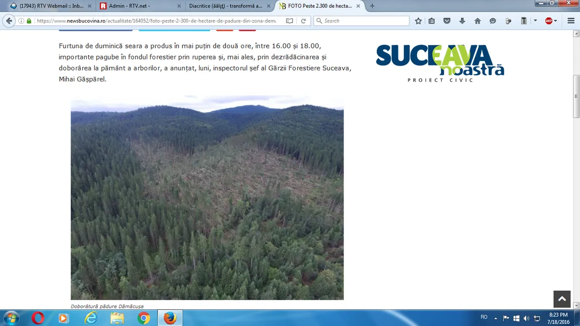 Prăpăd în Suceava, după o furtună. Zeci de mii de arbori au fost smulşi din rădăcini FOTO
