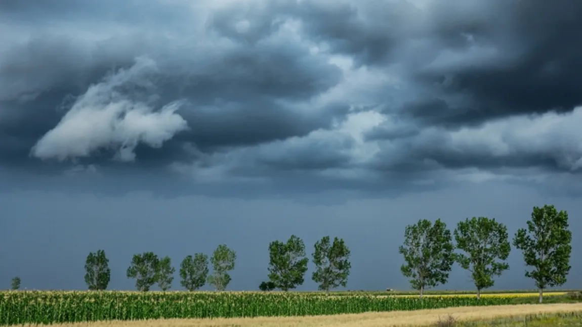 COD GALBEN de furtuni. Fenomene meteo SEVERE în mai multe zone din ţară