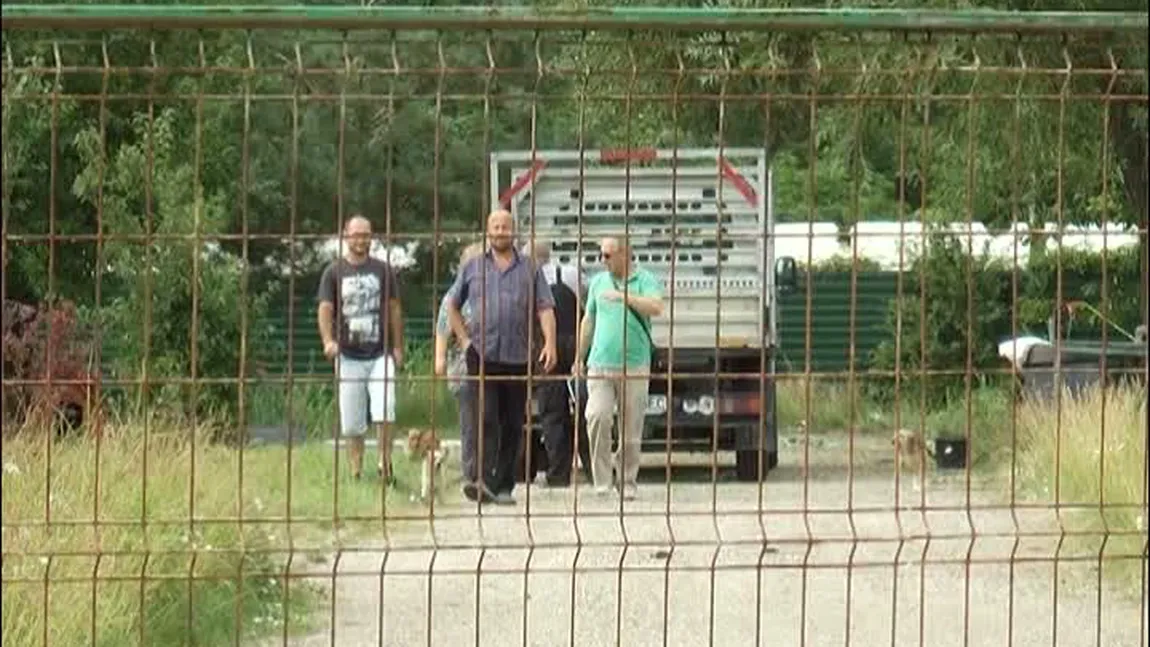 Scandal între un ONG pentru protecţia animalelor şi localnici