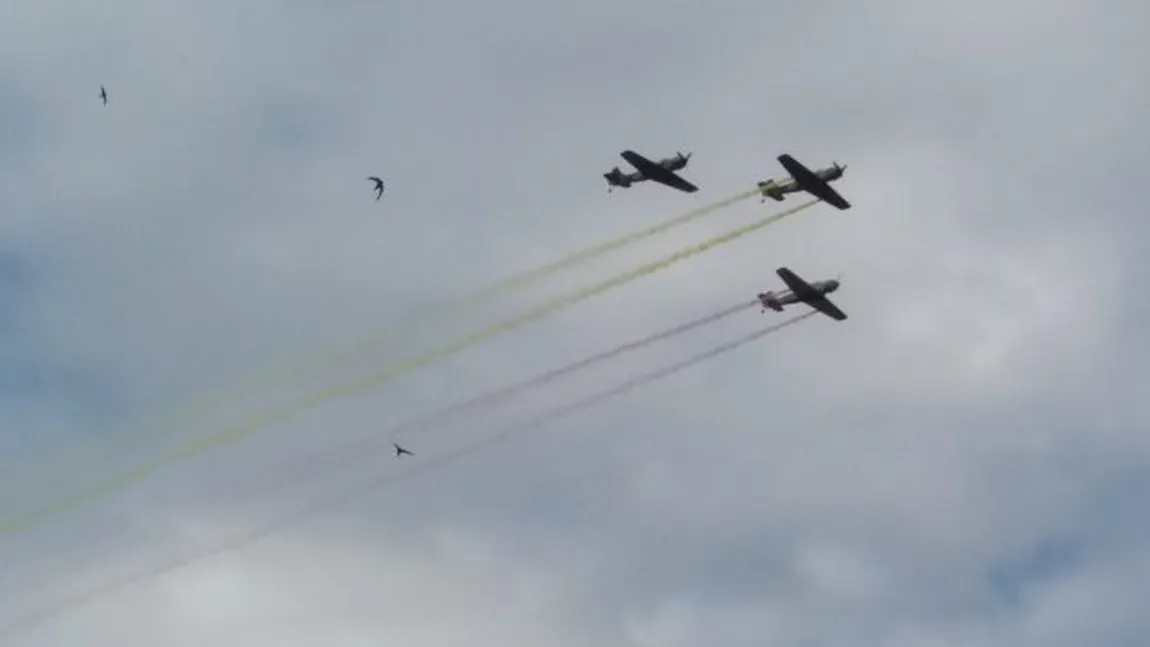 Spectacol aviatic pe cerul Capitalei, de Ziua Forţelor Aeriene VIDEO