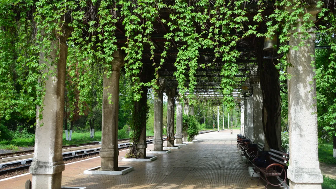 Cel mai romantic PERON de GARĂ din Europa se află în România! Trebuie neapărat să vizitezi acest loc