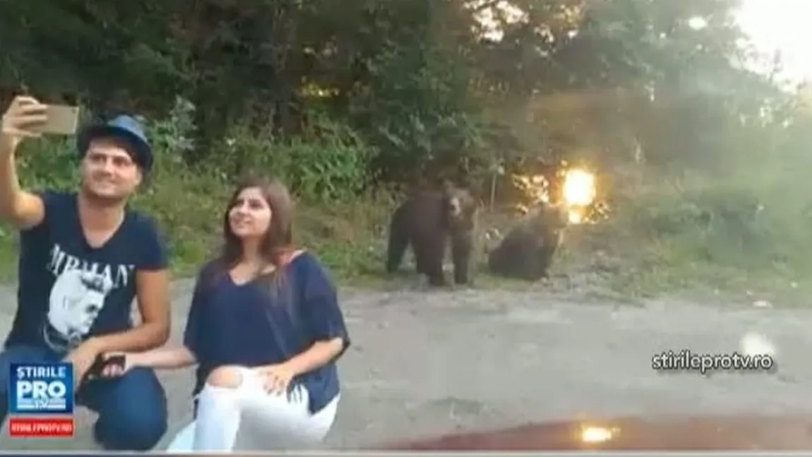 Inconştienţă dusă la extrem: Turiştii de pe Transfăgărăşan şi-au făcut selfie cu urşii