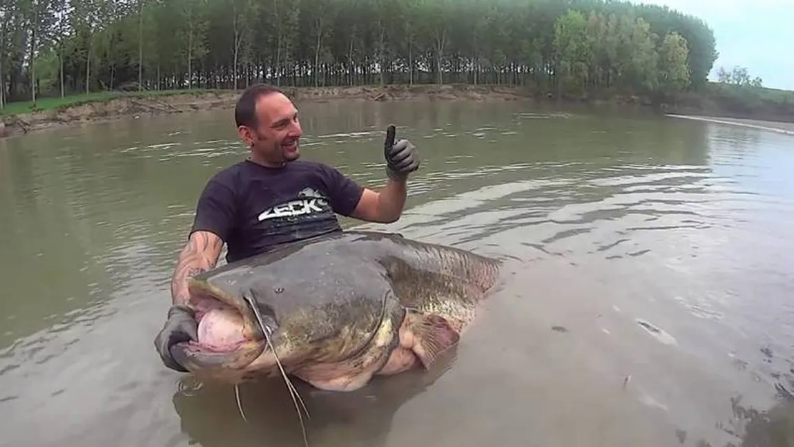 Cel mai tare pescar. A prins un monstru de 113 kilograme VIDEO