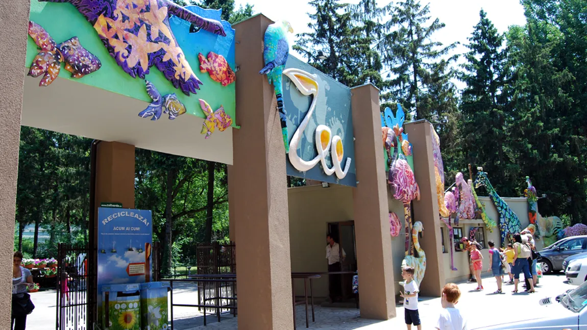 Cum poţi să intri GRATUIT la Grădina Zoologică din Băneasa