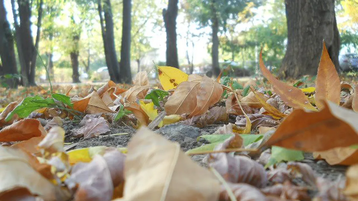 PROGNOZA METEO pentru URMĂTOARELE ZILE. Vremea se va menţine răcoroasă în weekend