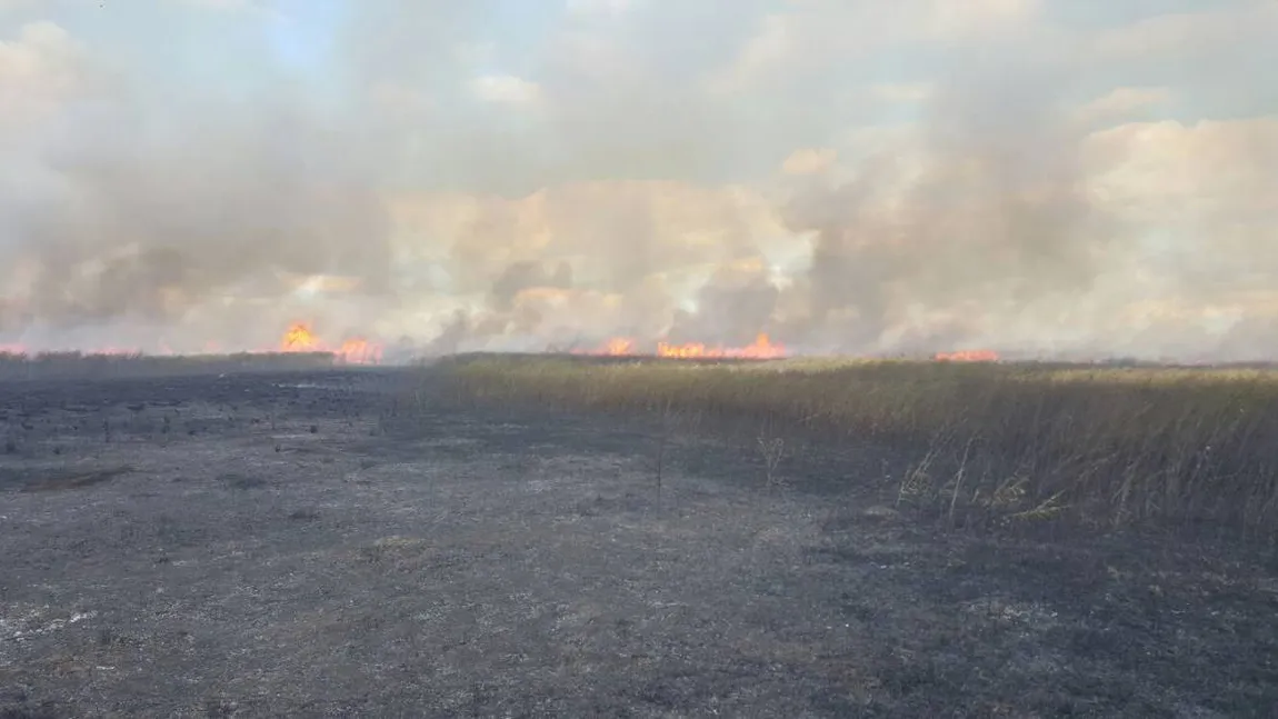 Incendiu de proporţii în Rezervaţia Delta Dunării. Peste 70 de hectare de vegetaţie s-au făcut scrum
