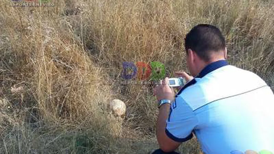Descoperire şocantă la gratar: Craniu de om în iarbă