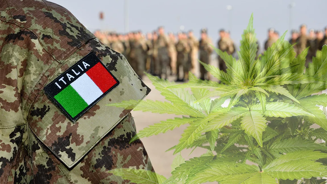 Poliţia italiană a capturat 700 de kilograme de marijuana