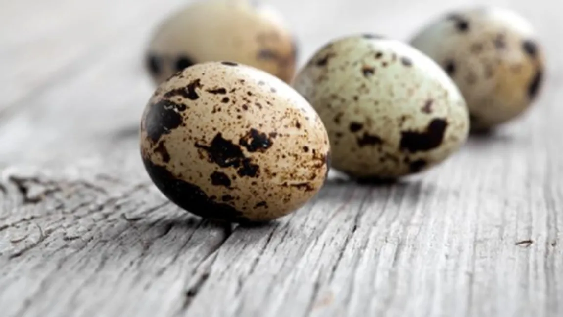 Ouă de prepeliţă. 10 beneficii uimitoare pentru sănătate. Punctul 7 te va bucura!
