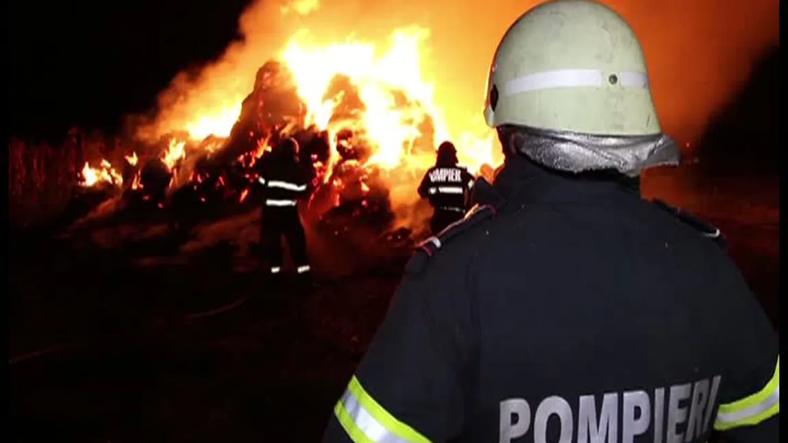 Incendiu devastator la un depozit plin cu nutreţ pentru animale. 750 de tone de furaje s-au făcut scrum VIDEO