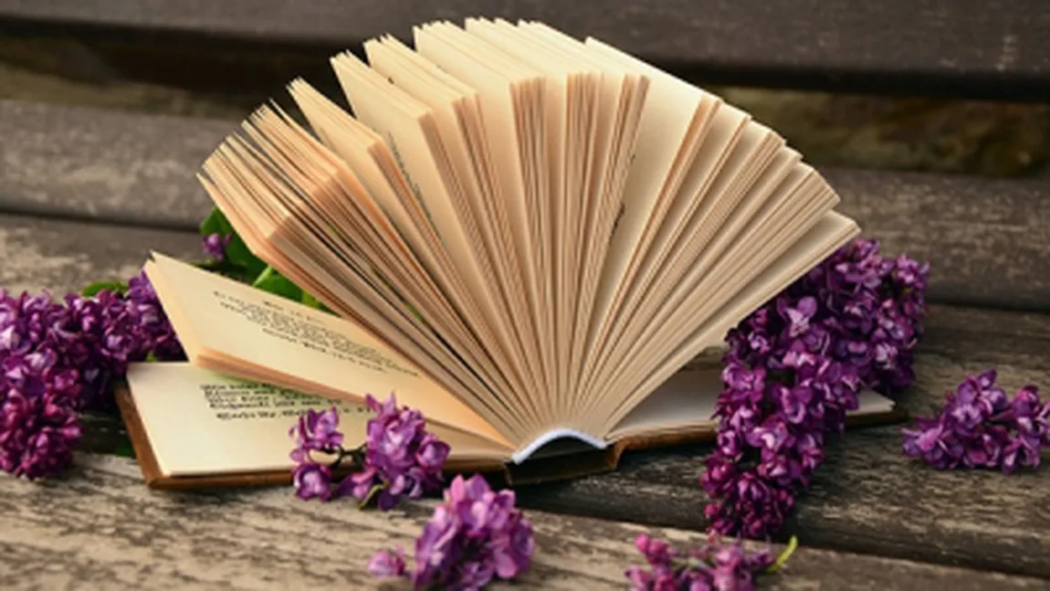 Proverbe de colecţie: 20 dintre cele mai înţelepte proverbe internaţionale