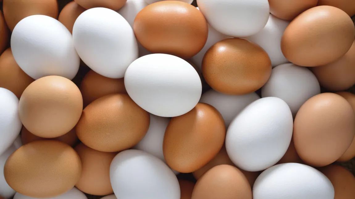 Producătorii de ouă din România, la un pas de faliment din cauza importurilor din Polonia