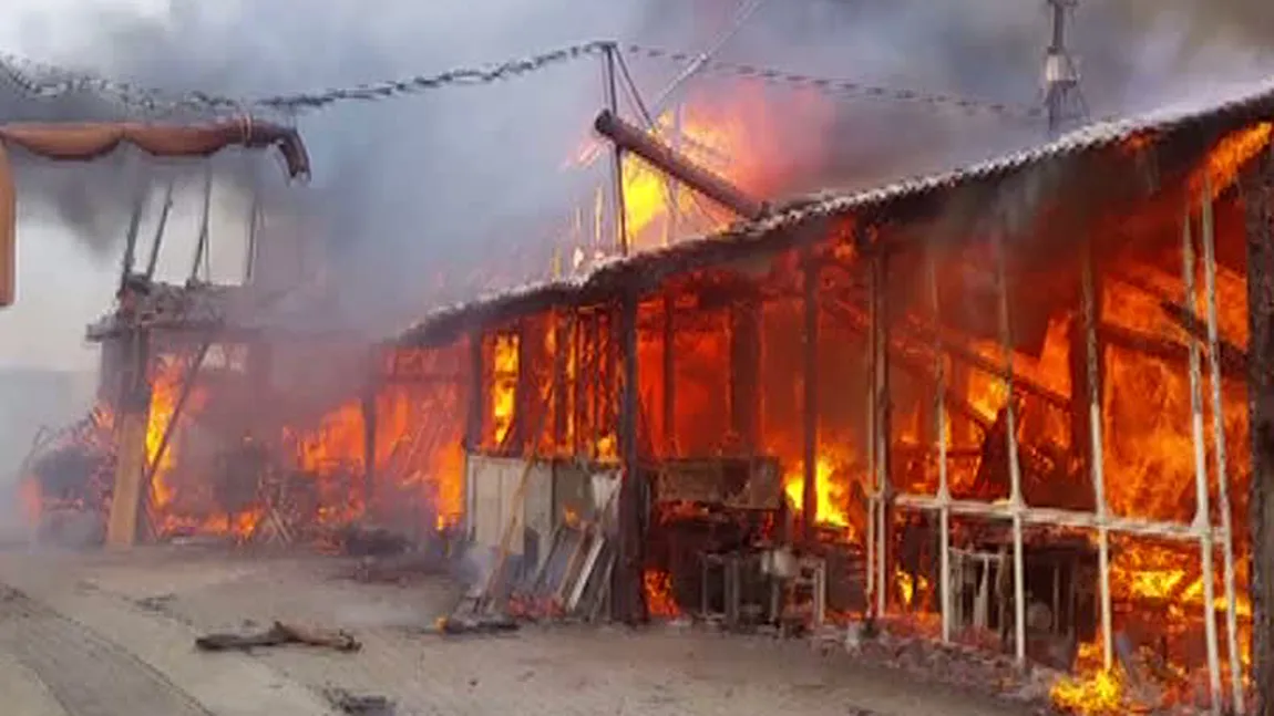 Incendiu violent la un centru de prelucrare a lemnului din Braşov. Zeci de pompieri, chemaţi la faţa locului