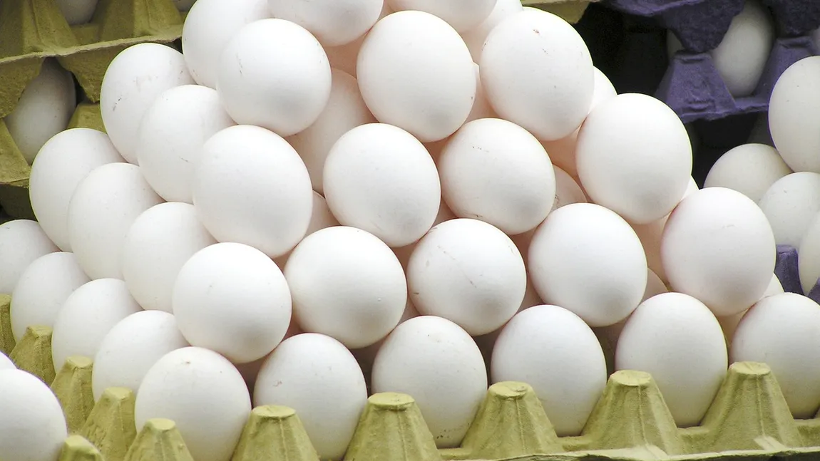 DSVSA Covasna: Alerta privind ouăle cu Salmonella nu se confirmă, acestea vor fi repuse în vânzare