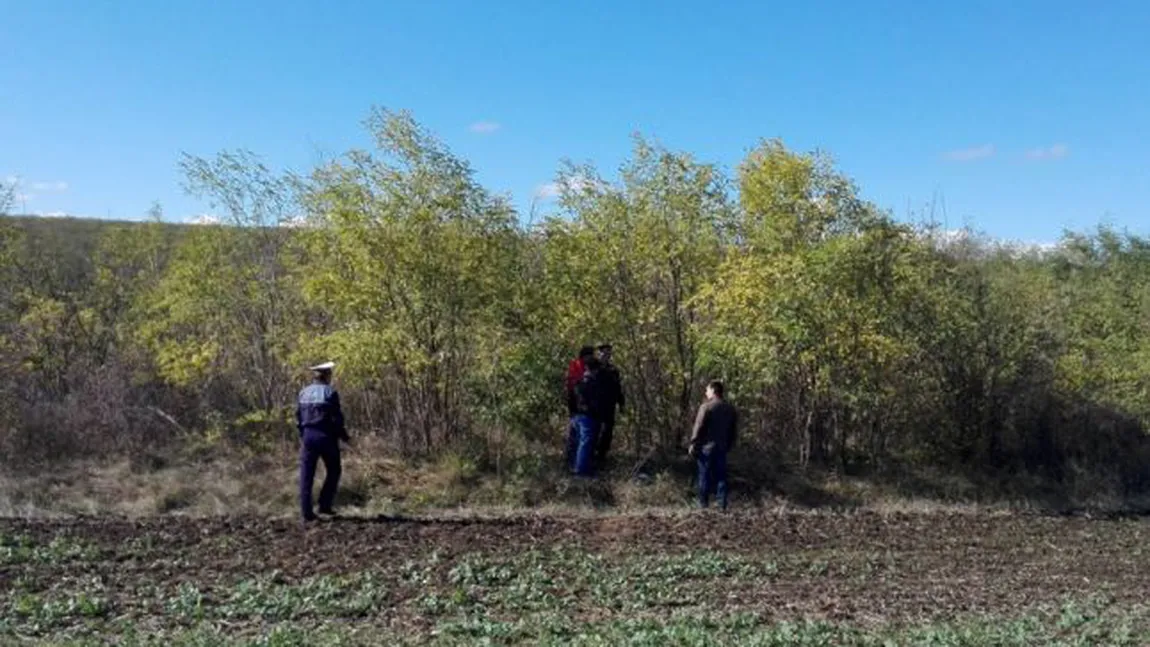 Descoperire macabră în Vaslui. Un pădurar a fost găsit mort în pădure