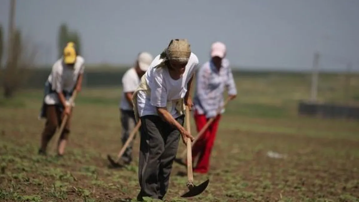 Guvernul a aprobat înfiinţarea agenţiilor de mediere între cererea şi oferta de muncă zilieră