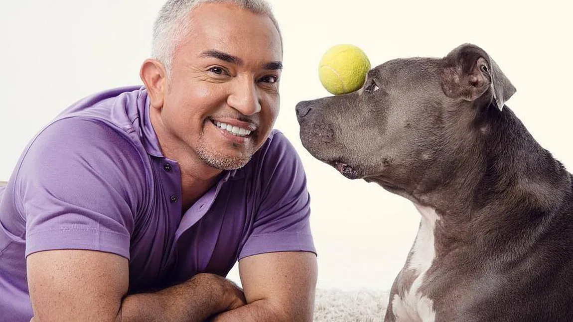 Cesar Millan vine la Bucureşti. Celebrul dresor de câini face spectacol la Sala Polivalentă