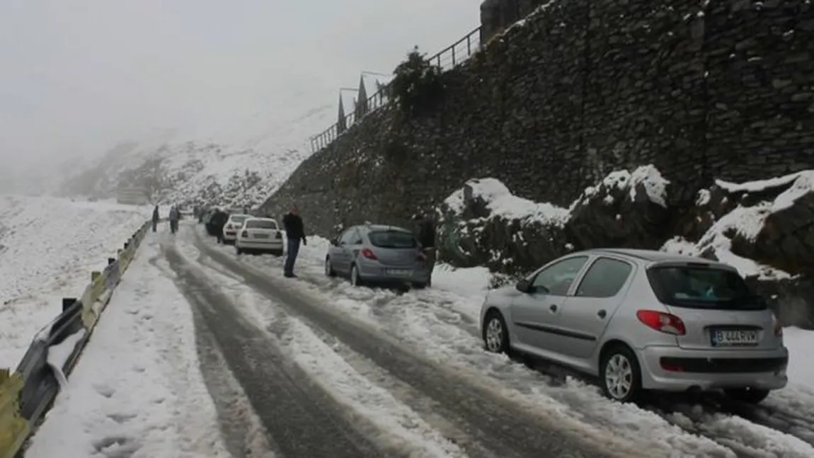 Turist căzut într-o prăpastie de pe Transfăgărăşan. Operaţiune dramatică de salvare, tânărul a rămas agăţat în copaci