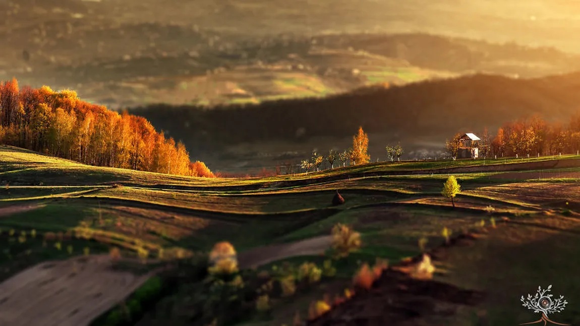 Imagini superbe din România, publicate de Boredpanda.com GALERIE FOTO