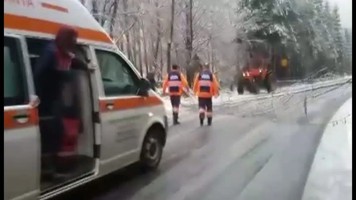 Drumuri înzăpezite în Maramureş. O ambulanţă în misiune, blocată din cauza unui copac care a căzut pe drum VIDEO