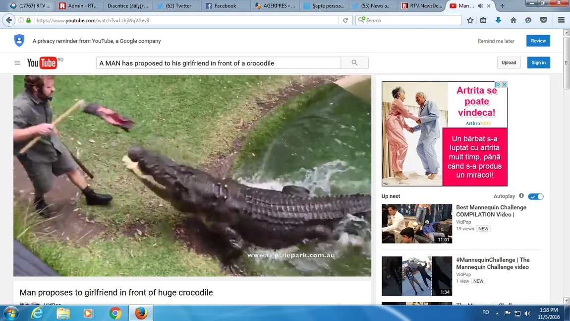Martorul reptilă. Un bărbat şi-a cerut iubita de soţie în faţa unui crocodil de 5 metri VIDEO