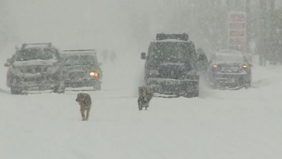 Ploi, NINSORI şi vânt puternic în toată ţara, meteorologii au dat avertizare de vreme rea