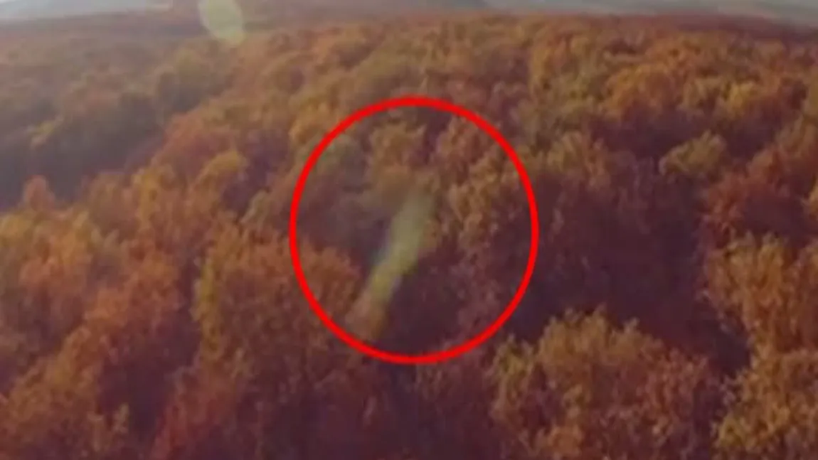 Obiect straniu filmat în Pădurea Baciu din Cluj VIDEO