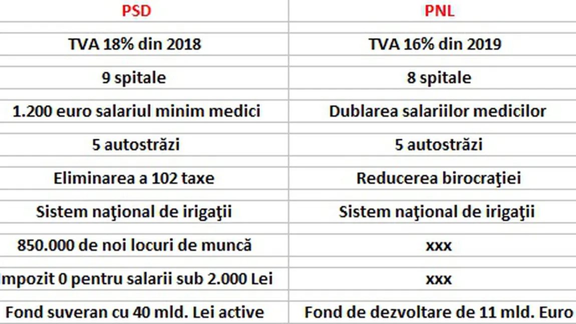 Comparaţie programe electorale PSD - PNL. Cine promite mai mult