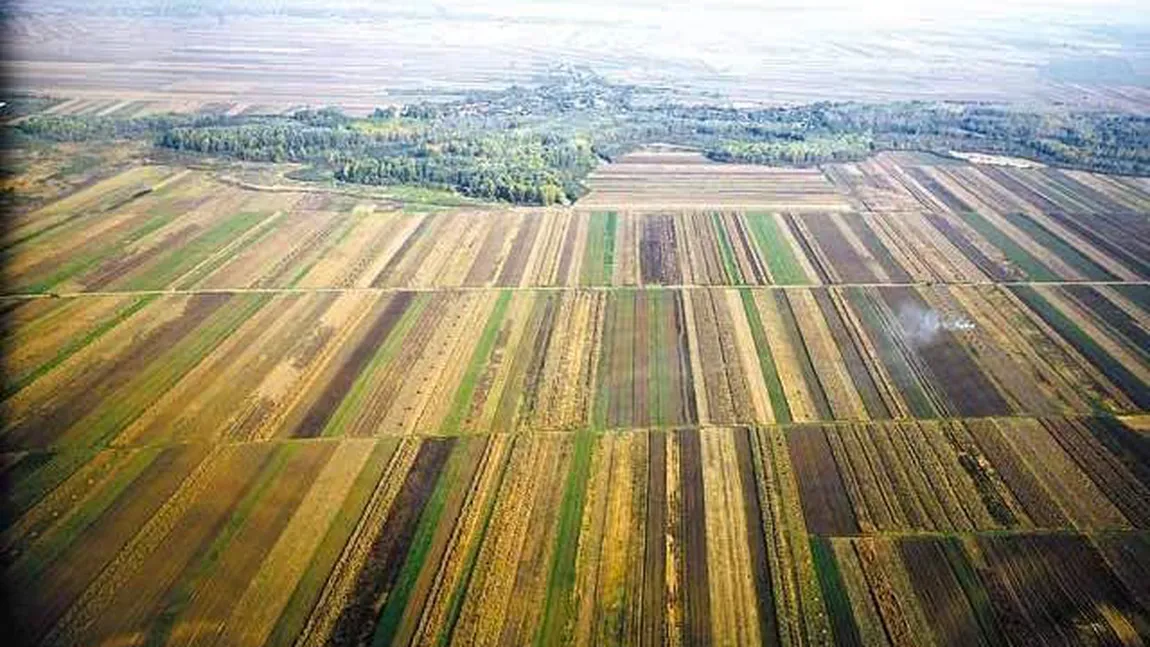 Agenţia Domeniilor Statului vrea să cumpere terenuri pe care să le dea GRATUIT tinerilor să facă agricultură