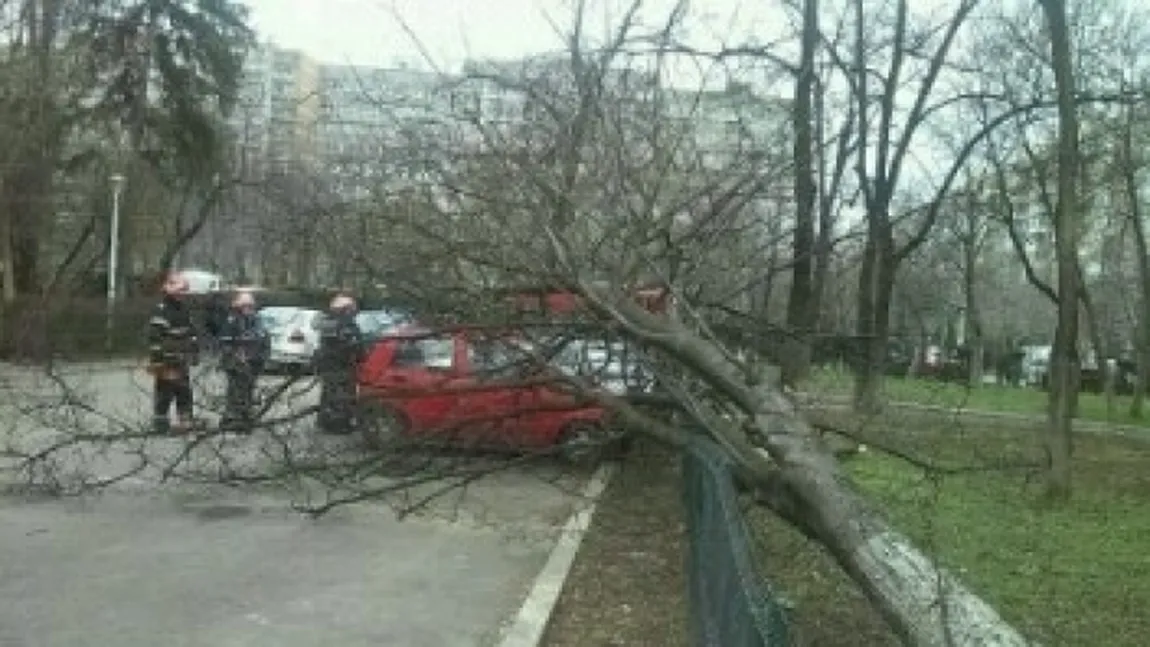 Peste 100 de intervenţii ale pompierilor din Bucureşti, duminică. Ce pagube a produs vântul puternic