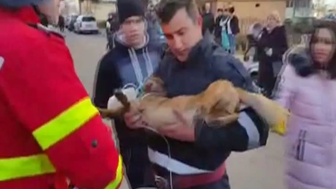 Incendiu la un bloc din Piteşti. Un câine prins în flăcări a fost resuscitat de pompieri VIDEO