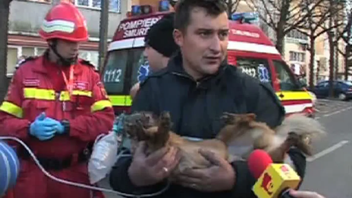 Pompierul care a resuscitat un câine prins într-un incendiu l-a vizitat pe patruped la veterinar VIDEO
