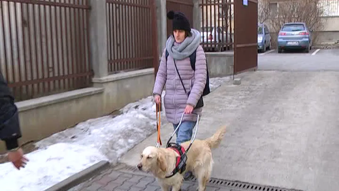 Nevăzătoare alungată din magazin din cauza câinelui însoţitor VIDEO