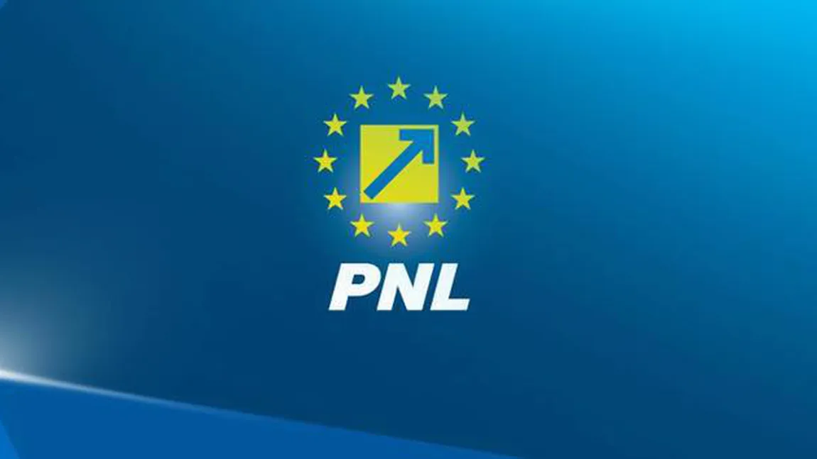 PNL cere Parlamentului declanşarea procedurilor pentru adoptarea unui punct de vedere favorabil referendumului