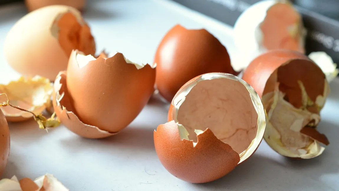 Motive pentru care nu ar trebui să arunci cojile de ou