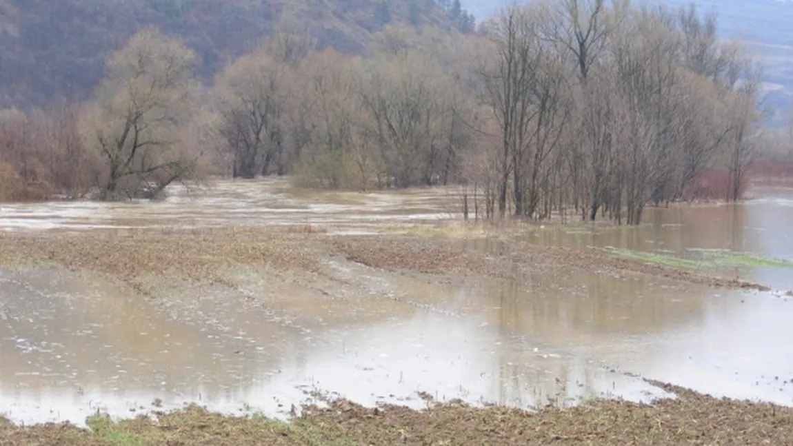 Un drum judeţean şi zeci de hectare de terenuri arabile din Arad, inundate după revărsarea râului Crişul Alb