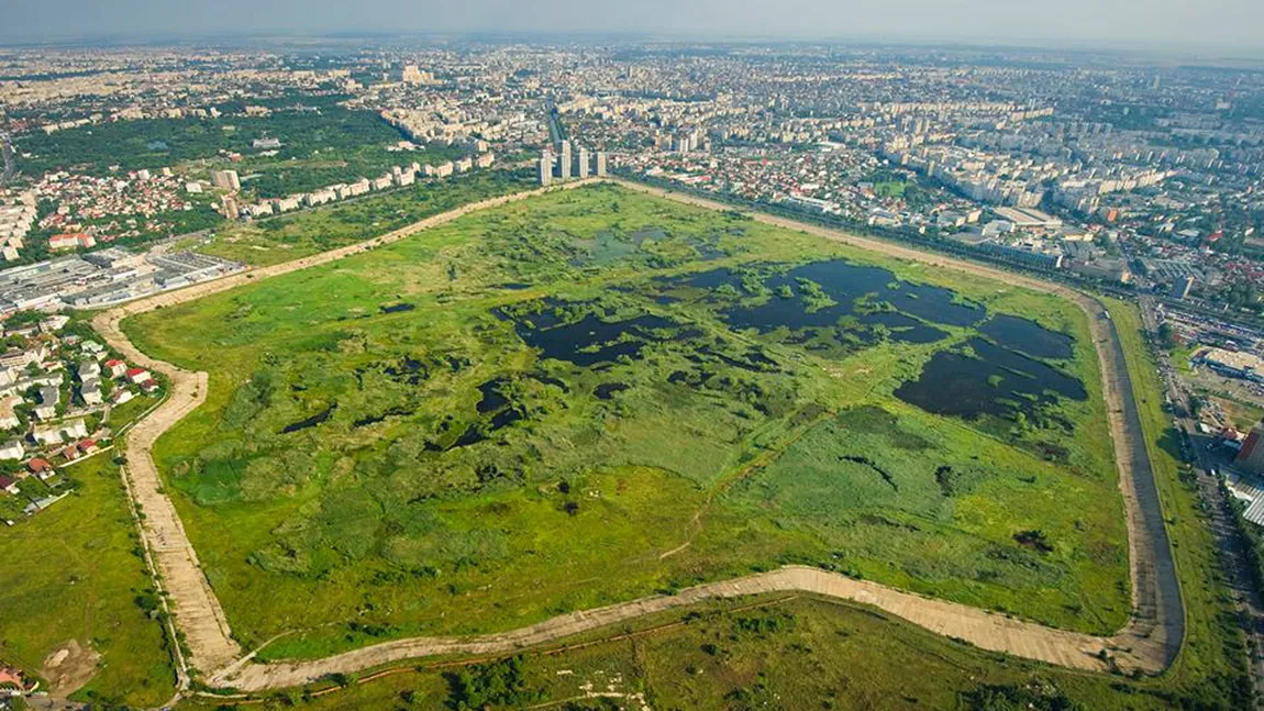 APNV, desemnată de Ministerul Mediului pentru administrarea Parcului Natural Văcăreşti