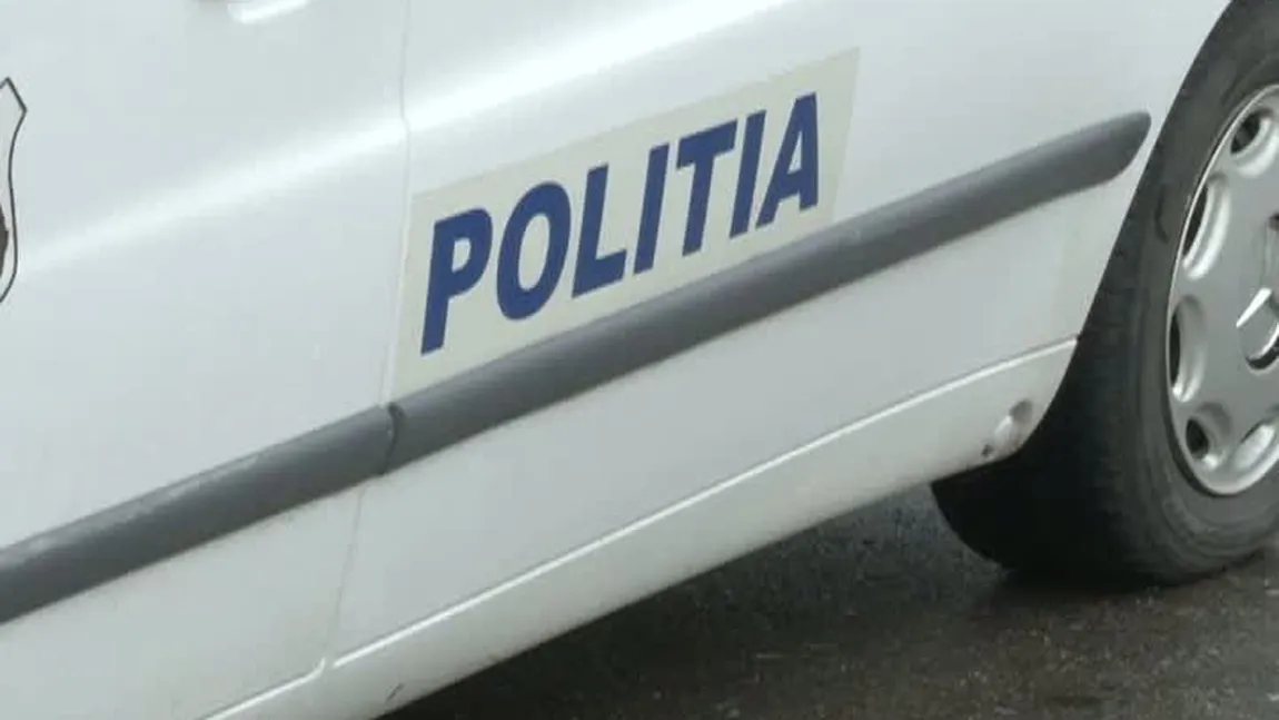 Doi poliţişti din Dâmboviţa au fost atacaţi cu topoare de hoţii de lemne