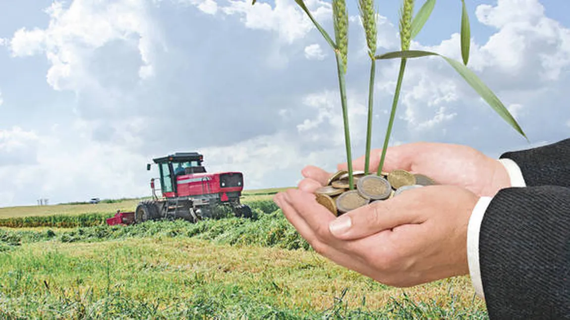 Fermierii vor primi, vineri, primele subvenţii pe vegetal. Suma autorizată la plată depăşeşte 25,5 milioane de euro