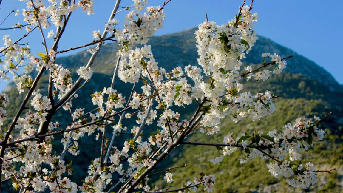 PROGNOZA METEO PE TREI ZILE. Temperaturi de aprilie pentru sfârşitul lunii februarie