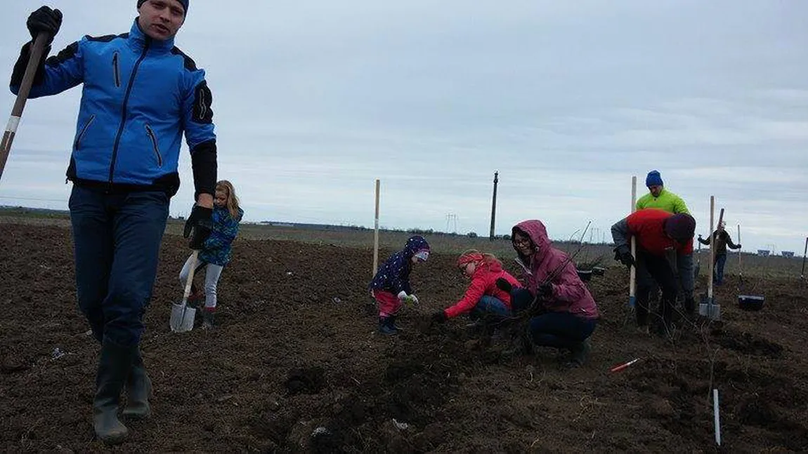 200 de voluntari plantează o pădure lângă Ploieşti