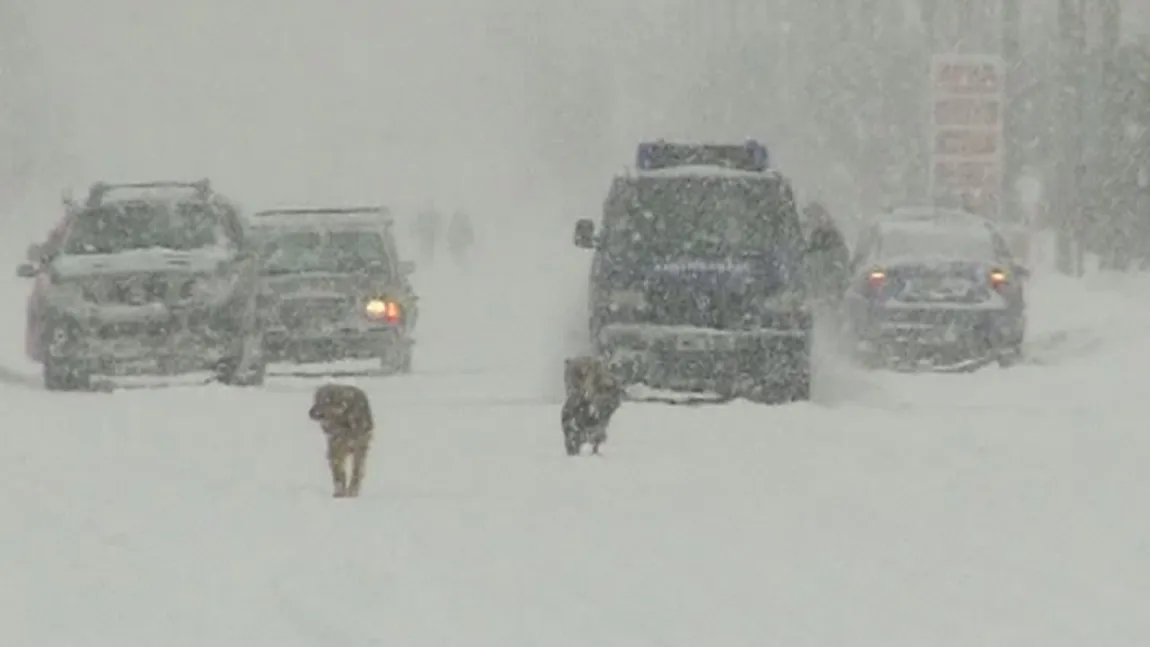 VREMEA schimbă foaia. Ninsori şi viscol în mai multe zone din România, până luni