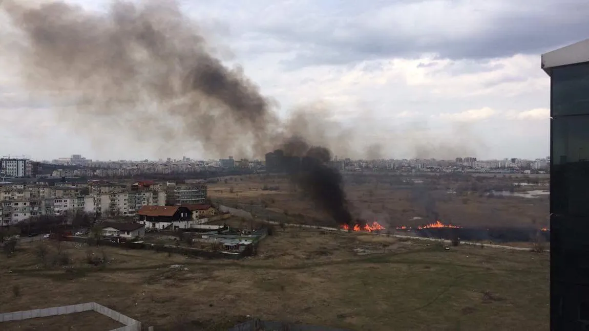 Incendiul din Delta Văcăreşti a fost stins de pompieri UPDATE