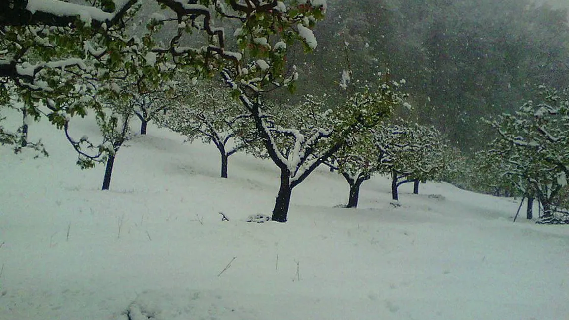 PROGNOZA METEO pentru URMĂTOARELE ZILE. Vreme deosebit de rece, temperaturile scad până la -10 grade