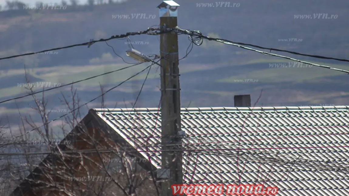 Localnicii dintr-o comună vasluiană au dat cu piciorul norocului. AU STRICAT CUIBURILE BERZELOR FOTO